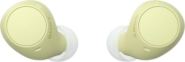 Sony WF-C510 Wireless Earbuds